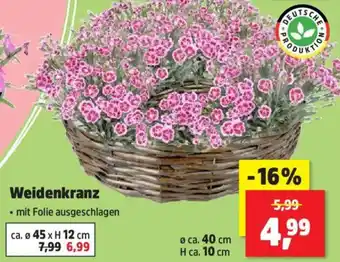 Thomas Philipps Weidenkranz Angebot