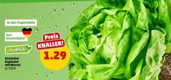 PENNY Deutscher Kopfsalat mit Wurzel Angebot