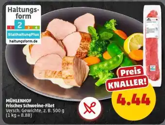 PENNY MÜHLENHOF Frisches Schweine-filet Angebot