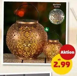 PENNY Laterne Angebot