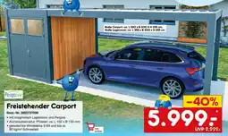 Netto Marken-Discount Freistehender Carport Angebot