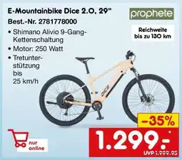 Netto Marken-Discount E-Mountainbike Dice 2.0, 29 Angebot