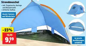 Thomas Philipps Strandmuschel Angebot