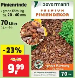 Thomas Philipps bevermann Pinienrinde Angebot