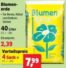Thomas Philipps Blumenerde Angebot