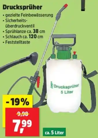 Thomas Philipps Drucksprüher Angebot