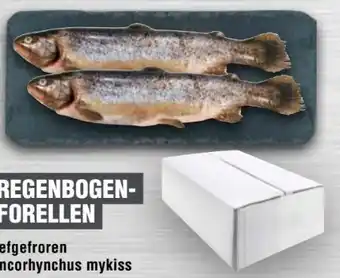 Handelshof Regenbogenforellen Tiefgefroren Angebot