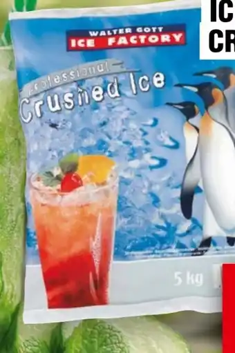 Handelshof Walter Gott Ice Factory Crushed Angebot