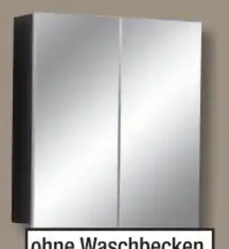 Poco Spiegelschrank Line Angebot