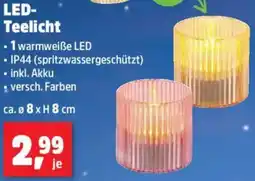 Thomas Philipps LED Teelicht Angebot