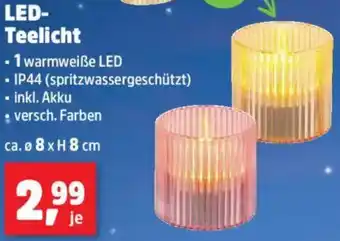 Thomas Philipps LED Teelicht Angebot