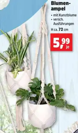Thomas Philipps Blumenampel Angebot