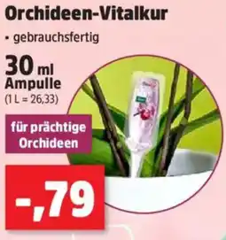 Thomas Philipps Orchideen-Vitalkur Angebot