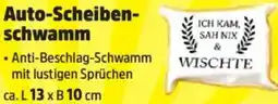 Thomas Philipps Auto-Scheibenschwamm Angebot