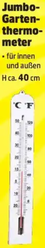 Thomas Philipps Jumbo Gartenthermometer Angebot