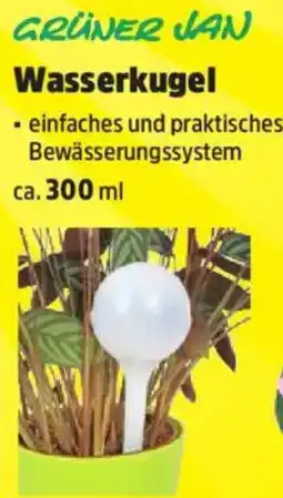 Thomas Philipps GRÜNER JAN Wasserkugel Angebot