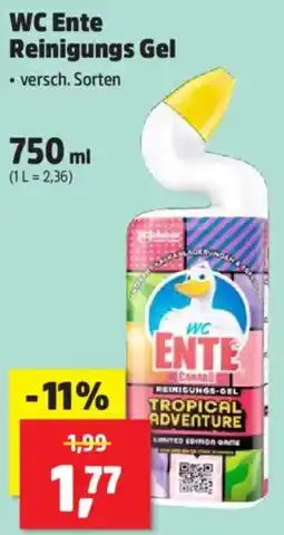 Thomas Philipps WC Ente Reinigungs Gel Angebot