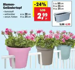 Thomas Philipps Blumen Geländertopf Angebot