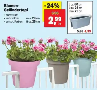 Thomas Philipps Blumen Geländertopf Angebot