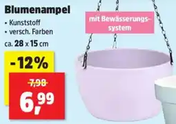 Thomas Philipps Blumenampel Angebot