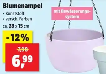 Thomas Philipps Blumenampel Angebot