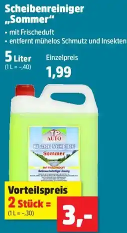 Thomas Philipps TP Auto Scheibenreiniger ,,Sommer" Angebot