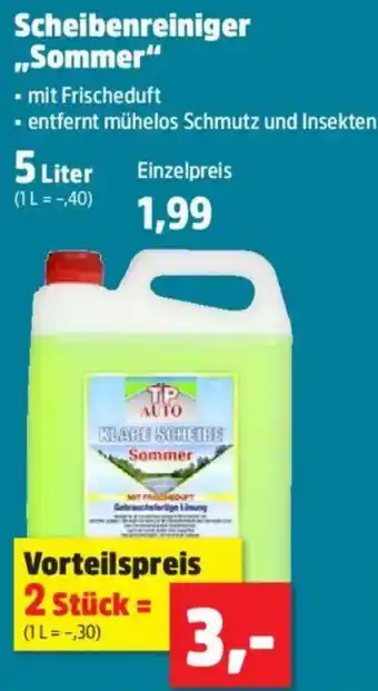 Thomas Philipps TP Auto Scheibenreiniger ,,Sommer" Angebot
