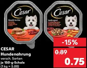 Kaufland CESAR Hundenahrung Angebot