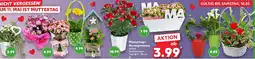 Kaufland Muttertags Arrangements Angebot