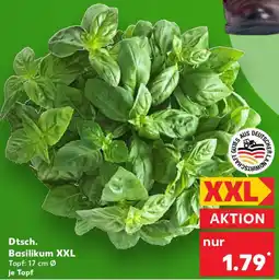 Kaufland Dtsch. Basilikum XXL Angebot
