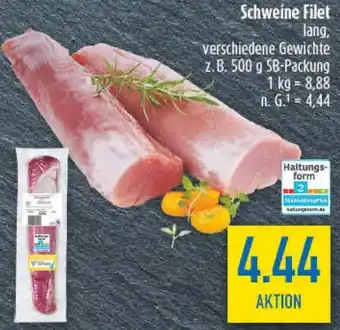 diska Schweine Filet Angebot