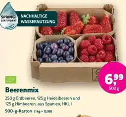 Biomarkt Beerenmix Angebot