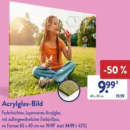 Aldi Süd Acrylglas-Bild Angebot