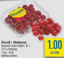 diska Driscoll's Himbeeren Angebot