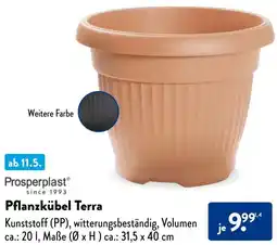 Aldi Süd Prosperplast Pflanzkübel Terra Angebot