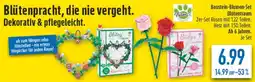 diska Baustein-Blumen-Set Blütentraum Angebot