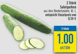 diska 2 Stück Salatgurken Angebot