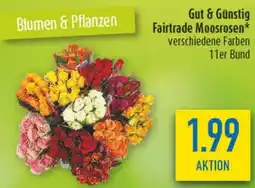 diska Gut & Günstig Fairtrade Moosrosen Angebot