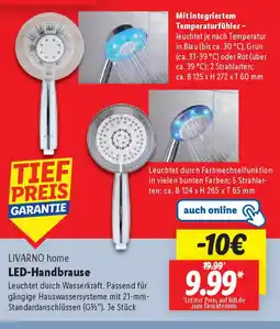 Lidl LIVARNO home LED-Handbrause Angebot