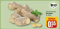 REWE Bio-Ingwer Angebot