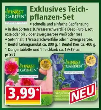 Norma Exklusives Teichpflanzen-Set Angebot