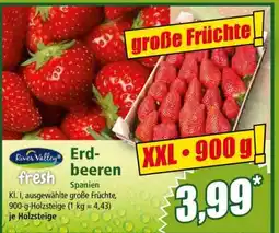 Norma Erdbeeren Angebot