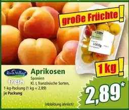Norma Aprikosen Angebot