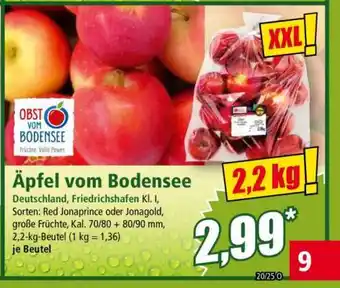 Norma Äpfel vom Bodensee Angebot