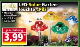 Norma LED-Solar-Gartenleuchte „Pilz“ Angebot