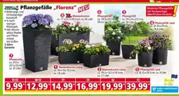 Norma Pflanzsäule Angebot