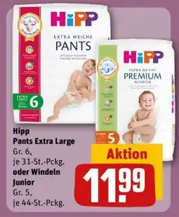 REWE Hipp Pants Extra Large Angebot