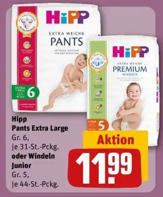 REWE Hipp Pants Extra Large Angebot