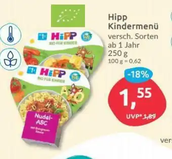 Budni Hipp Kindermenü 250 g Angebot