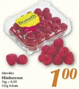 inkoop Driscoll's Marokko Himbeeren Angebot